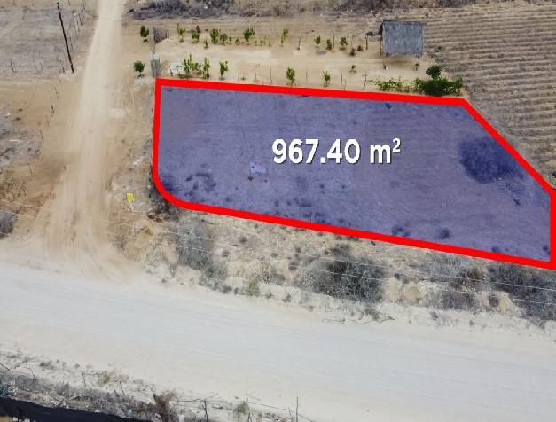 Spacious lot, well-located, excellent for investment.